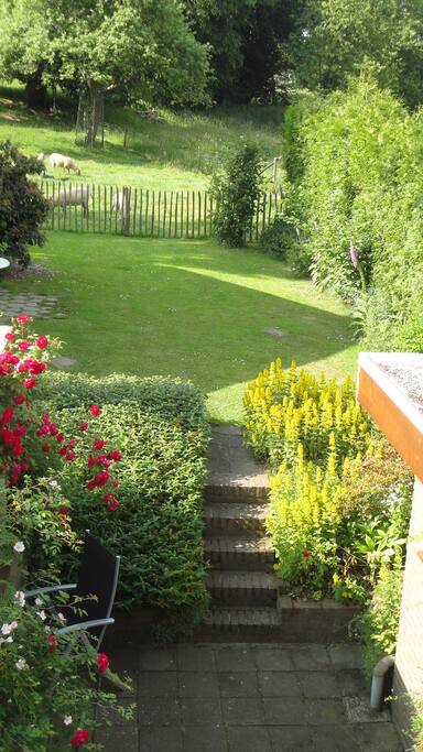ruime tuin met uitzicht op onze hoogstamboomgaard