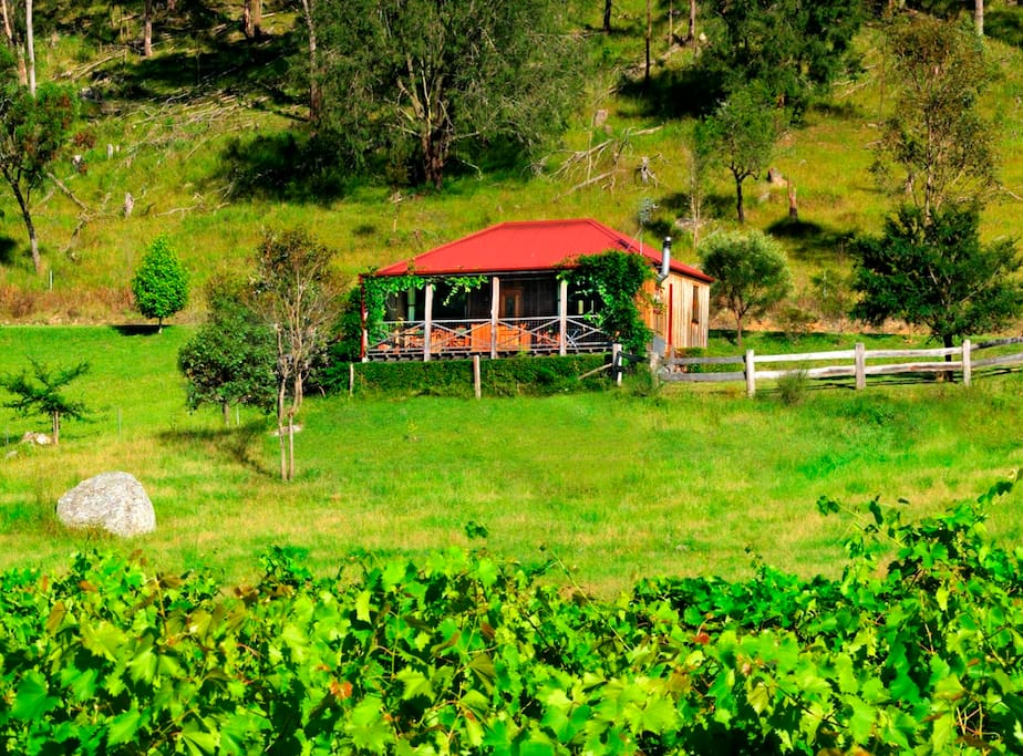 The cottage is set up on the hillside, overlooking our vineyards and the valley below - the views are beautiful!