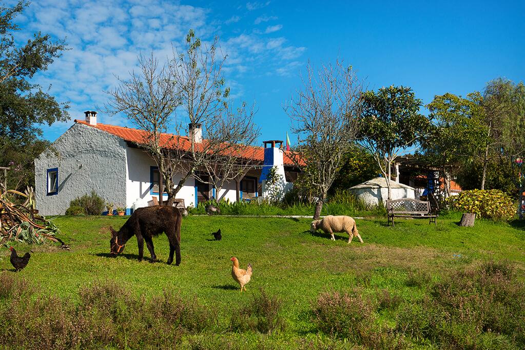 The farm
