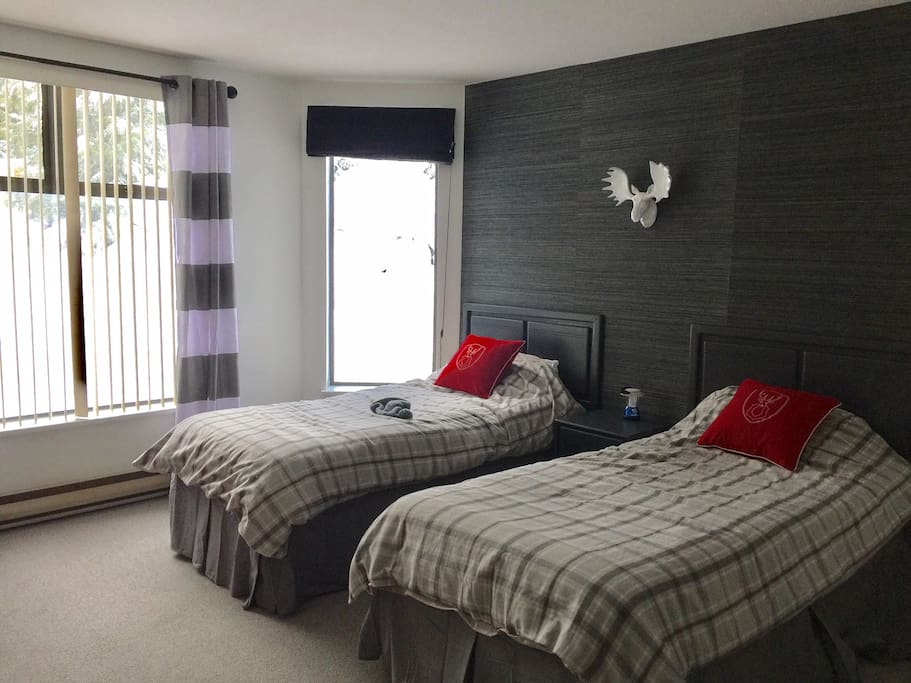 2nd bedroom - twin beds.
