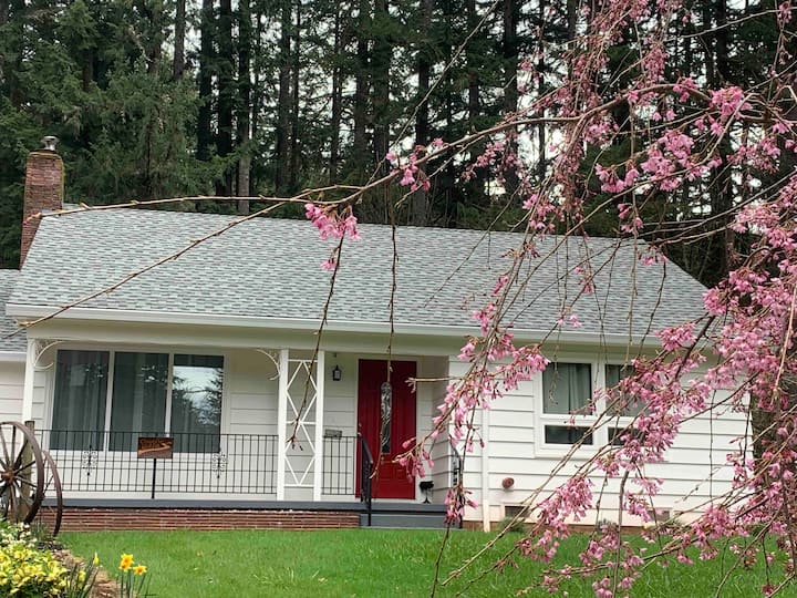 Unplug and unwind at our guesthouse in the woods! Houses for Rent in