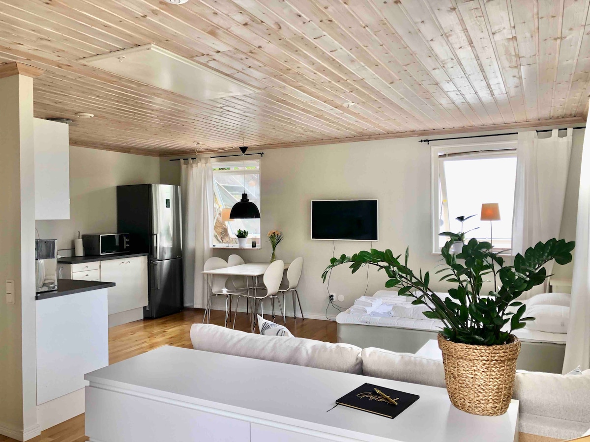 The open living area is characterized by a light wooden ceiling and modern furnishings. A spacious sofa faces a wall-mounted TV, complemented by a dining table for four. An equipped kitchen is visible in the background, with large windows allowing natural light.