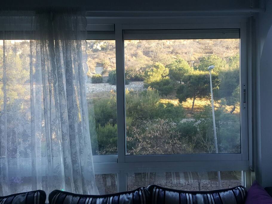 Vue du salon