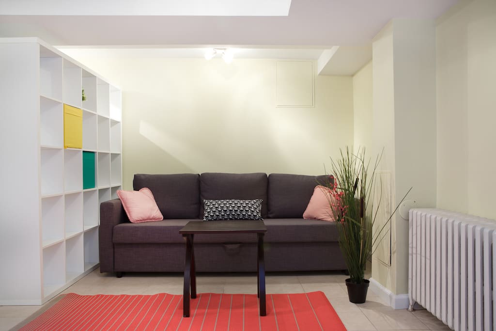 Great apartment to come home to--pullout sofa for 2nd guest
