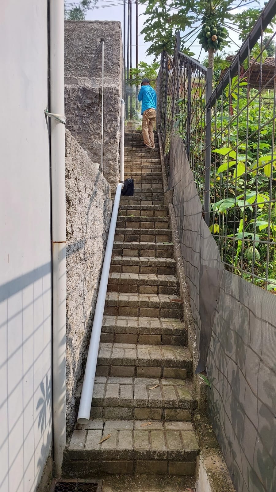 A stone staircase is situated between two walls, leading upward towards greenery. The steps are made of rectangular stones, with a railing on one side. A person is seen near the top of the staircase, surrounded by lush plants.