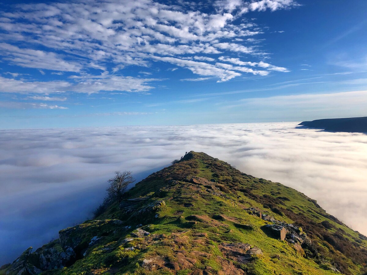 A panoramic landscape depicts a rugged hillside surrounded by a thick layer of clouds, creating a dreamy, ethereal scene. The clear blue sky stretches above, contrasting with the lush green terrain. A lone tree is visible near the edge, providing a sense of scale.