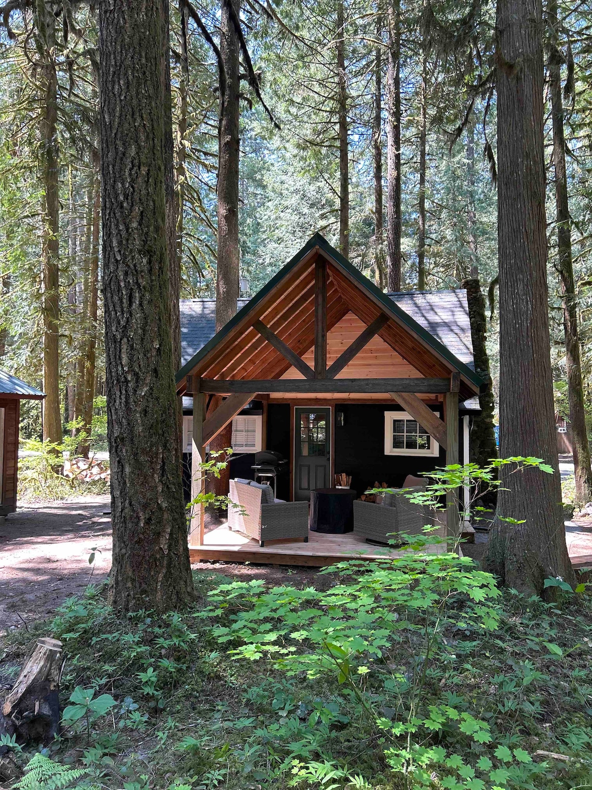The cabin is framed by tall trees, featuring a welcoming front porch with seating arrangements. The sloped roof and wooden accents provide a rustic charm. A small table sits on the porch, creating an inviting space for relaxation amid nature.
