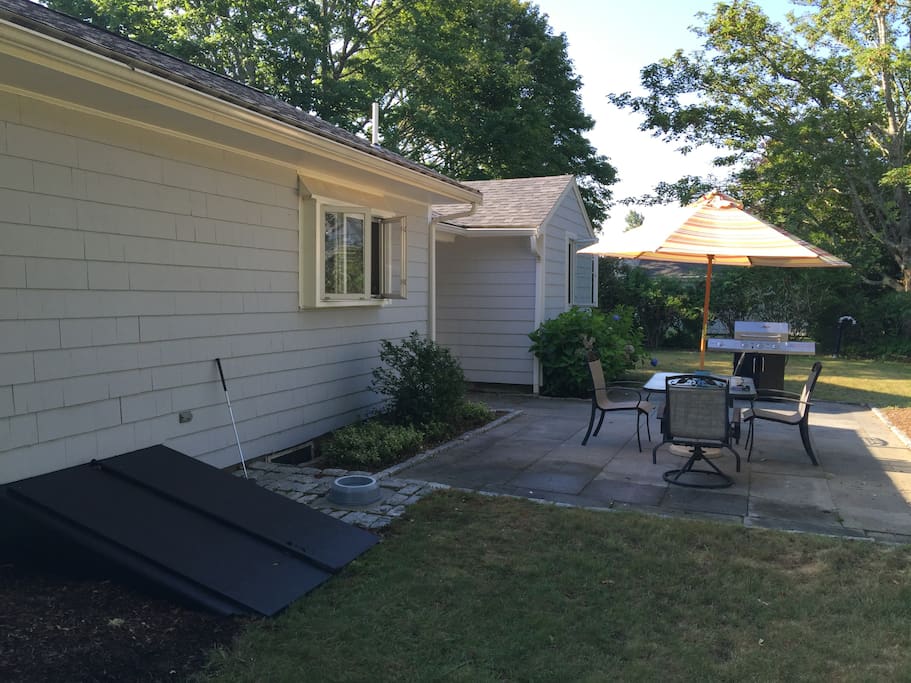 Great back yard