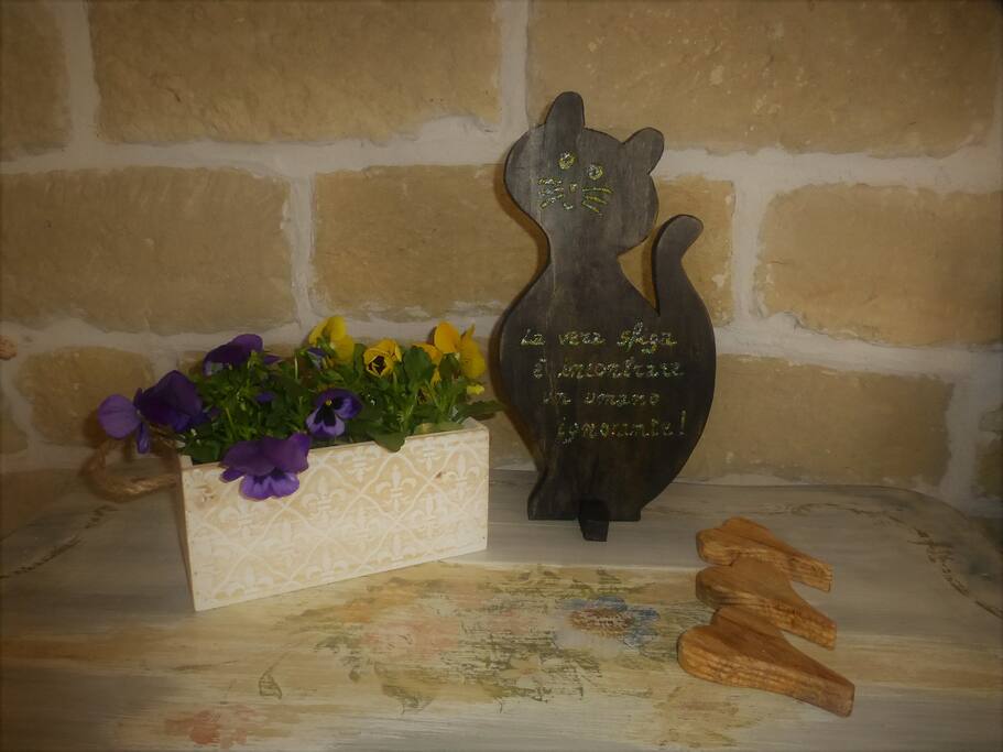 Gatto porta fortuna