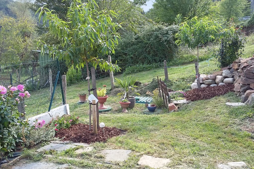 jardin