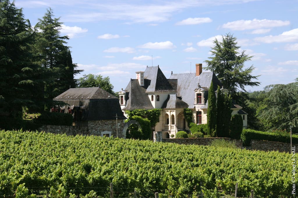 le domaine vu du vignoble voisin (©Le Nail)