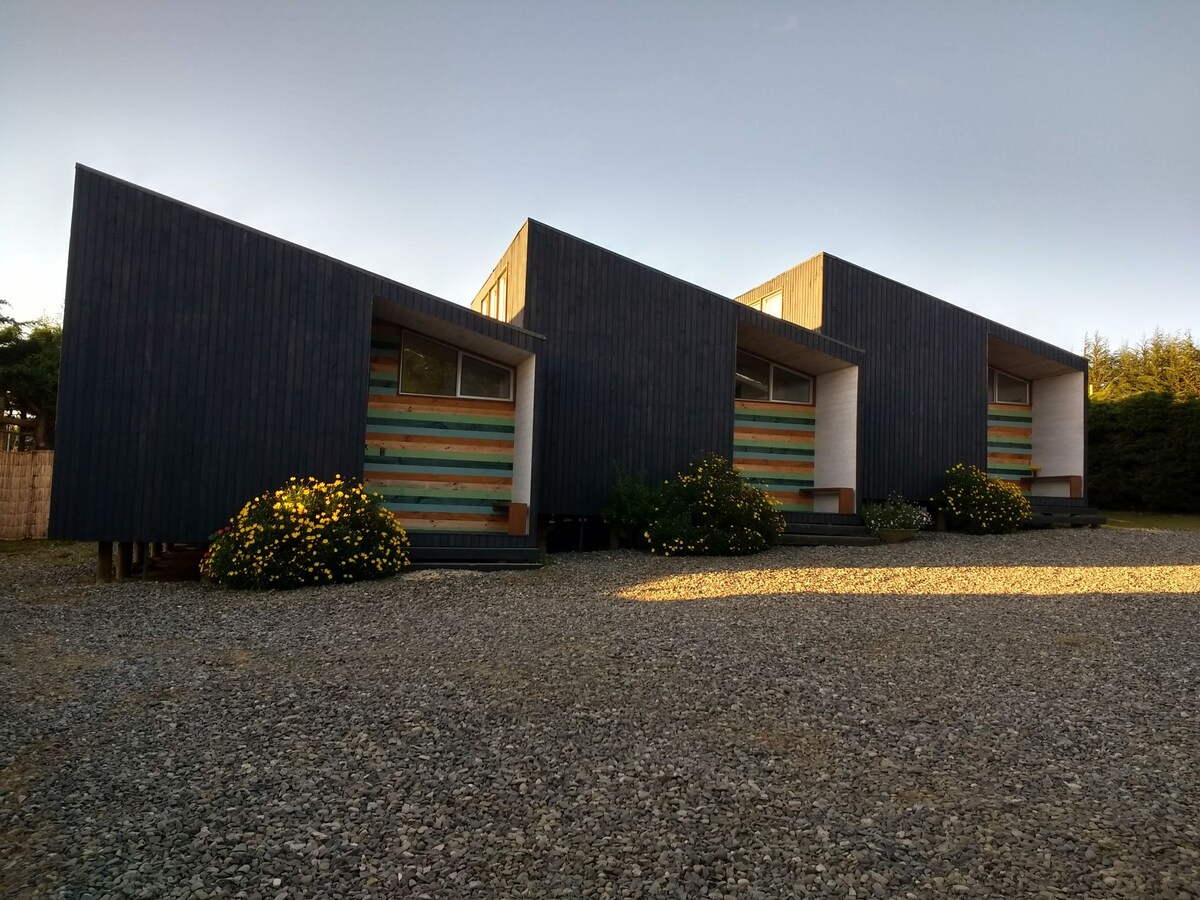 Three modern cabins are arranged in a row, featuring sleek angular roofs and a combination of dark wood and colorful paneling. Surrounding the cabins, vibrant yellow flowers add a touch of color to the gravel landscape.