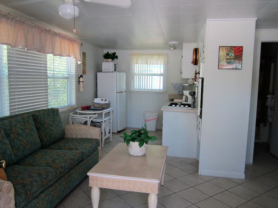 Living/Kitchen Area