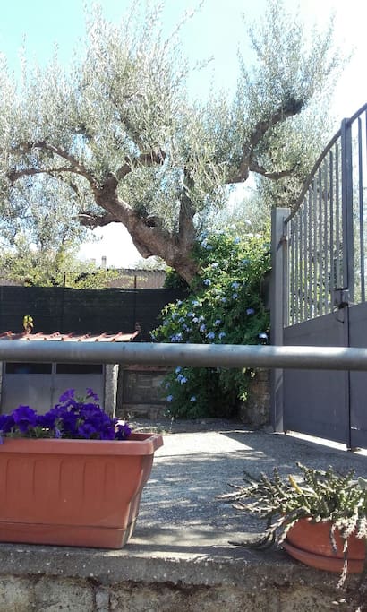 ENTRANCE GATE