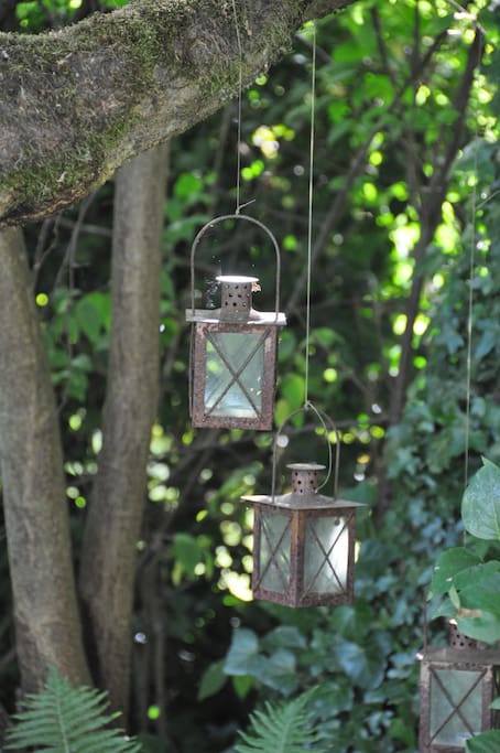 Detail aus dem Garten