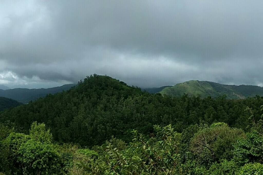 Magic Mountain