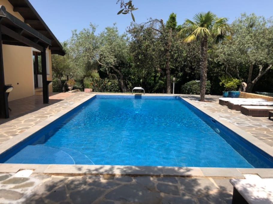 Swimming pool 10m x 5m