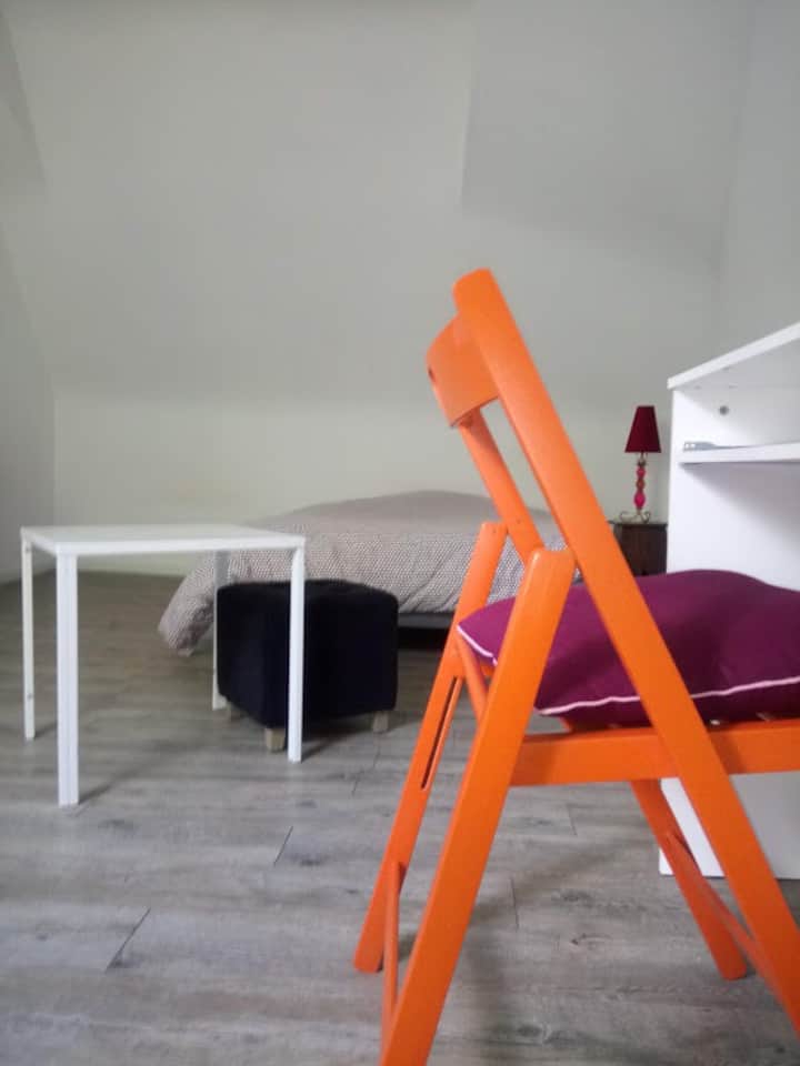 Pau Vacation Rentals & Homes NouvelleAquitaine, France Airbnb