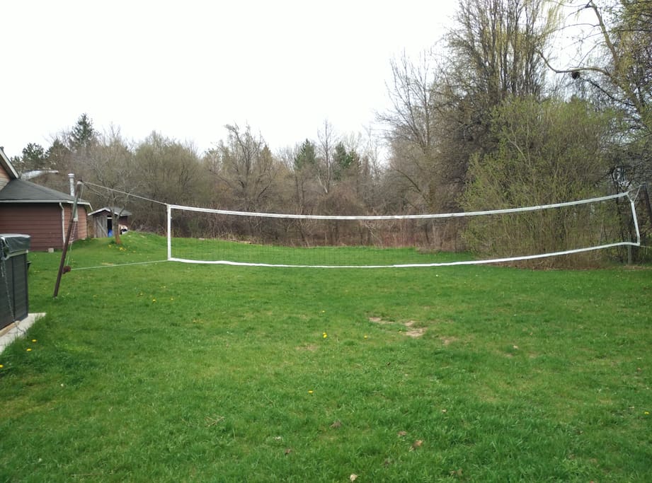 back yard