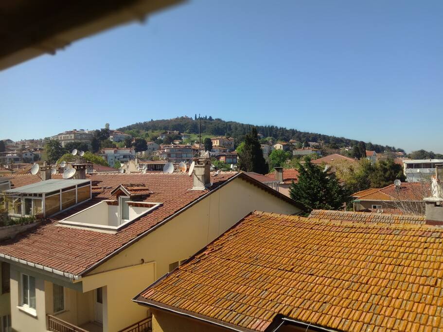 view
