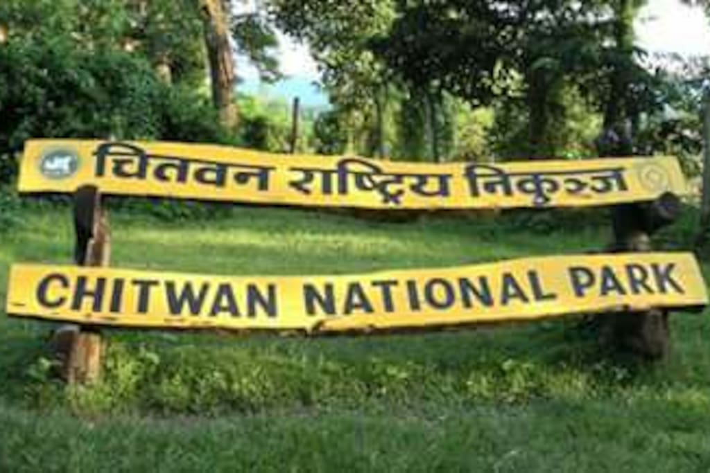 Chitwan National park