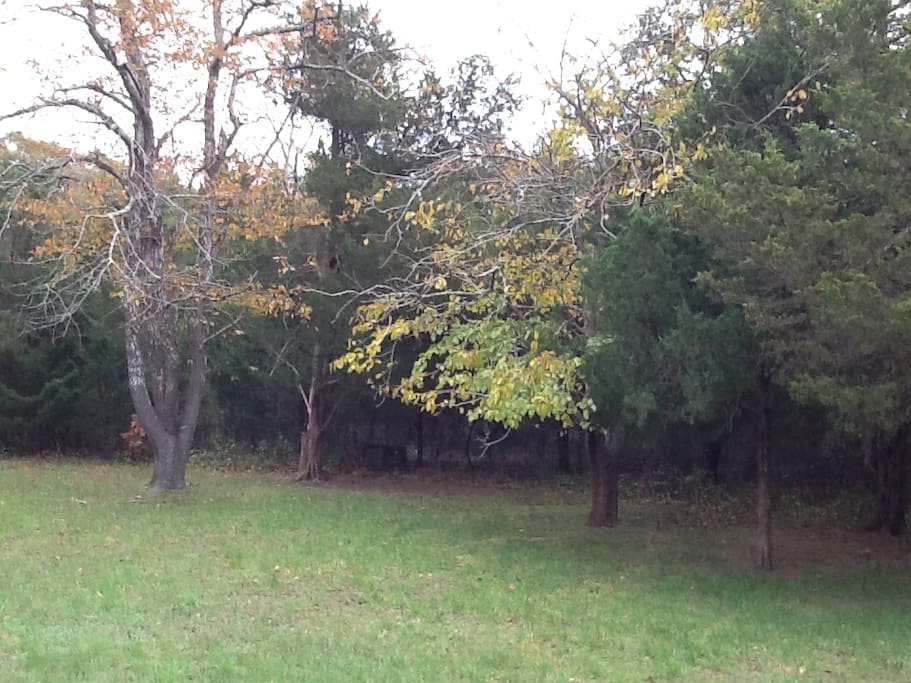 open space to bbq and play games