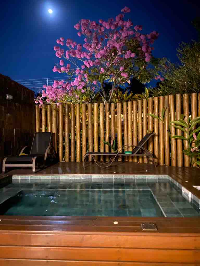 A spa with hydromassage is set against a wooden deck, surrounded by lush greenery. A large tree with pink blossoms stands nearby, illuminated by moonlight, creating a serene atmosphere. Two lounge chairs are positioned beside the spa, inviting relaxation in a private setting.