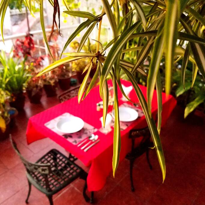 Traditional Cuban home-cooked food.