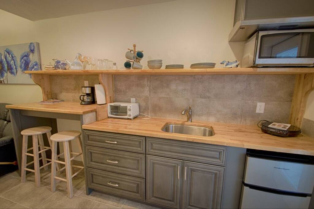 Kitchenette with hot plate, mini fridge, and toaster oven