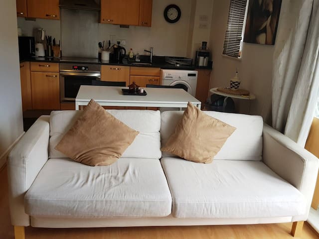 Great Private Room In A Cozy Apartment