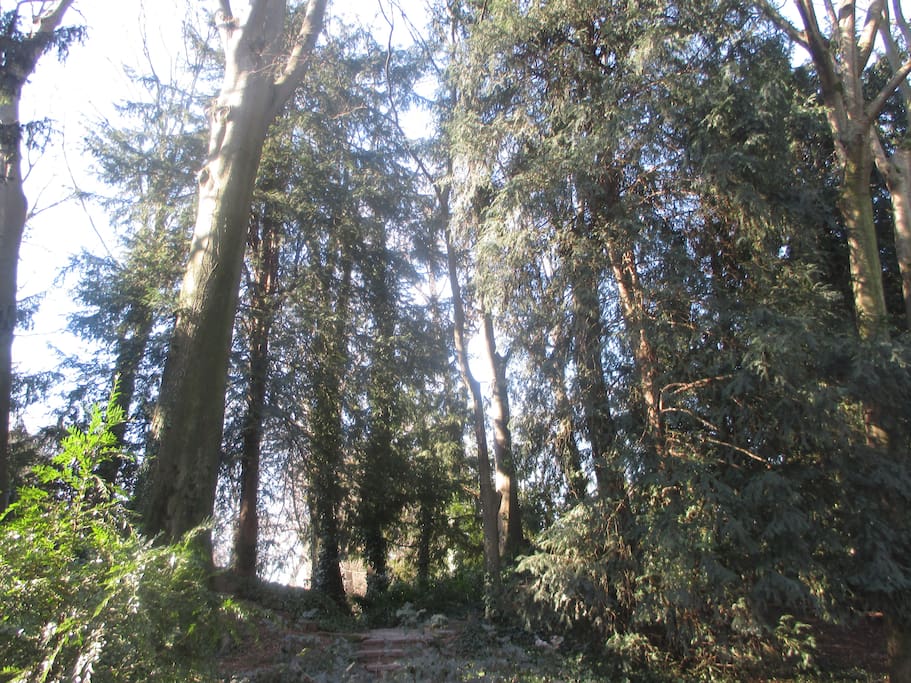 parco vicino casa