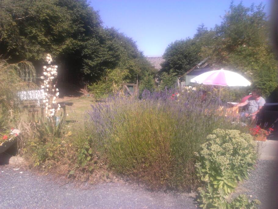 Harold's Place private garden