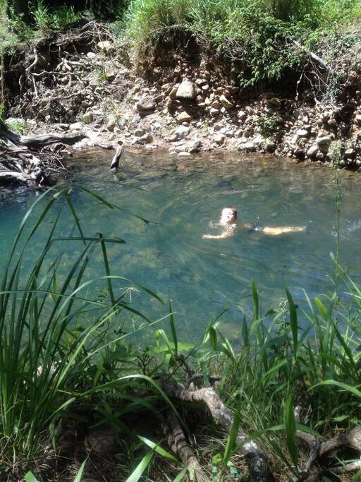 Swimming in the backyard