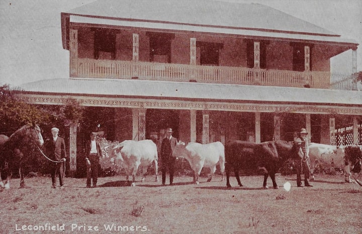 Izvorna kuća Leconfield iz 1880-ih. Wow! Ovo je jedan od nevjerojatnih pogleda na vinograde i farme imanja Dalwood iz povijesne kuće Leconfield House iz 1872. godine, luksuzne vikendice na selu.