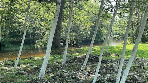 Birch Bear Cabin. The mountains are calling…