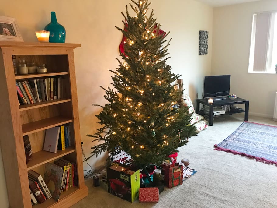 Living room - sadly the tree will be gone by the time you're here :(