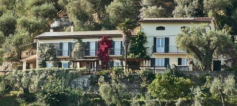 Superb location! Pisa & Lucca Spacious home & pool