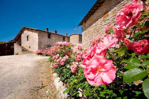 Antico Borgo Ripostena – n. 5 Garage