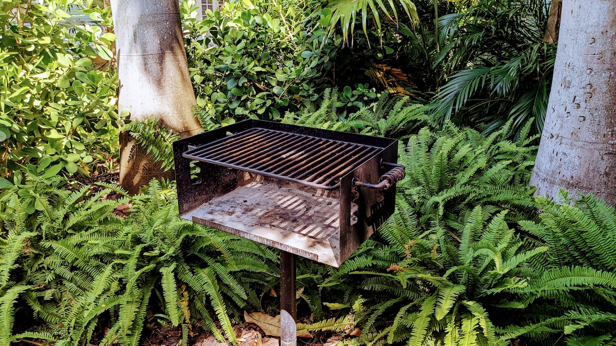 A charcoal grill is situated among lush greenery, surrounded by ferns and tropical plants. The grill features a metal cooking grate and is mounted on a sturdy post, offering a space for outdoor cooking and entertaining.