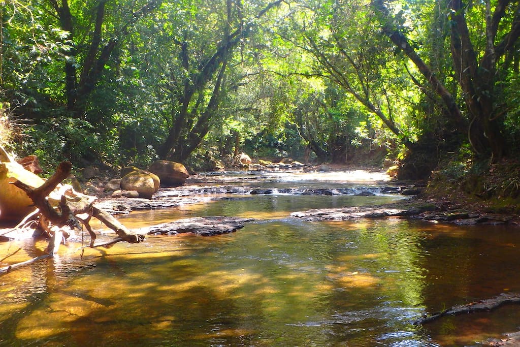 Enjoy private access to the Baru River