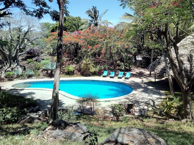 Room 1st Flr, private bathroom, S. pool, beach -26
