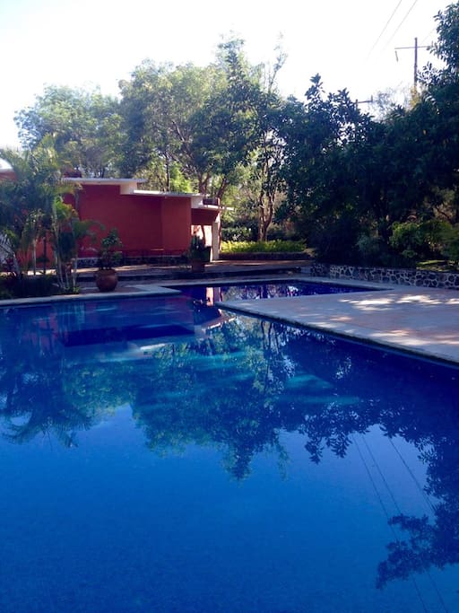 A beautiful pool