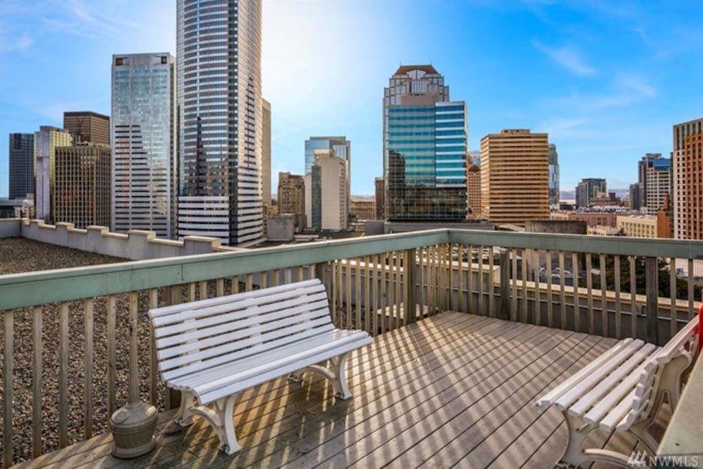 Rooftop View