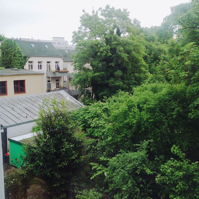 Blick nach draussen