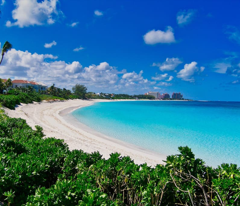 Gorgeous Cabbage Beach, Just a 7 minute walk away.