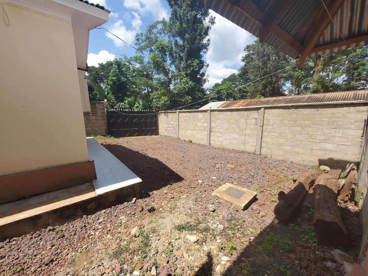 A spacious outdoor area is surrounded by a sturdy wall, featuring a gravel surface and a cement platform near the corner. The scene is shaded by trees and a roof overhang, offering a mix of sun and shade, enhancing the natural setting.