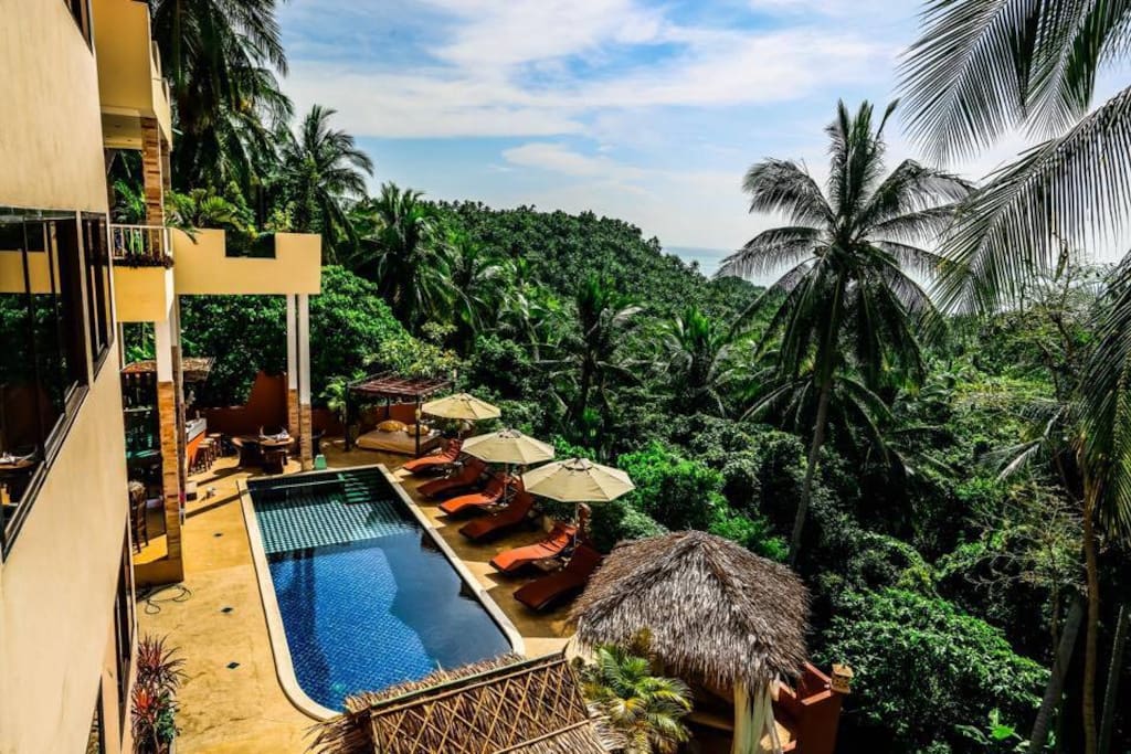 Pool & Surrounding Jungle View