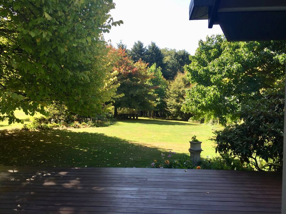 Garden in Autumn.