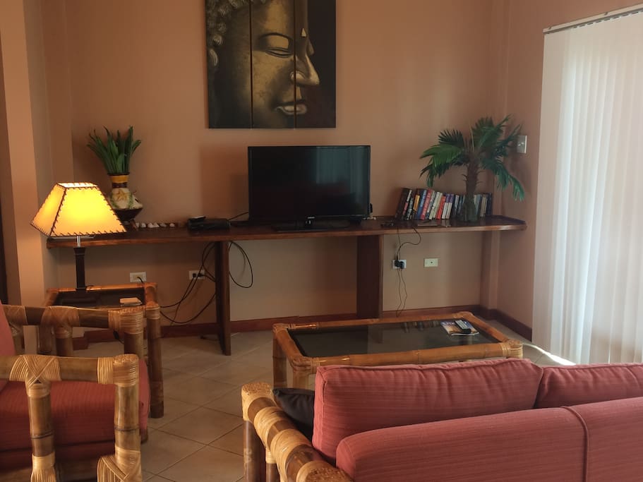 Comfortable Living Room and a nice TV to watch your favorite shows (US cable included)