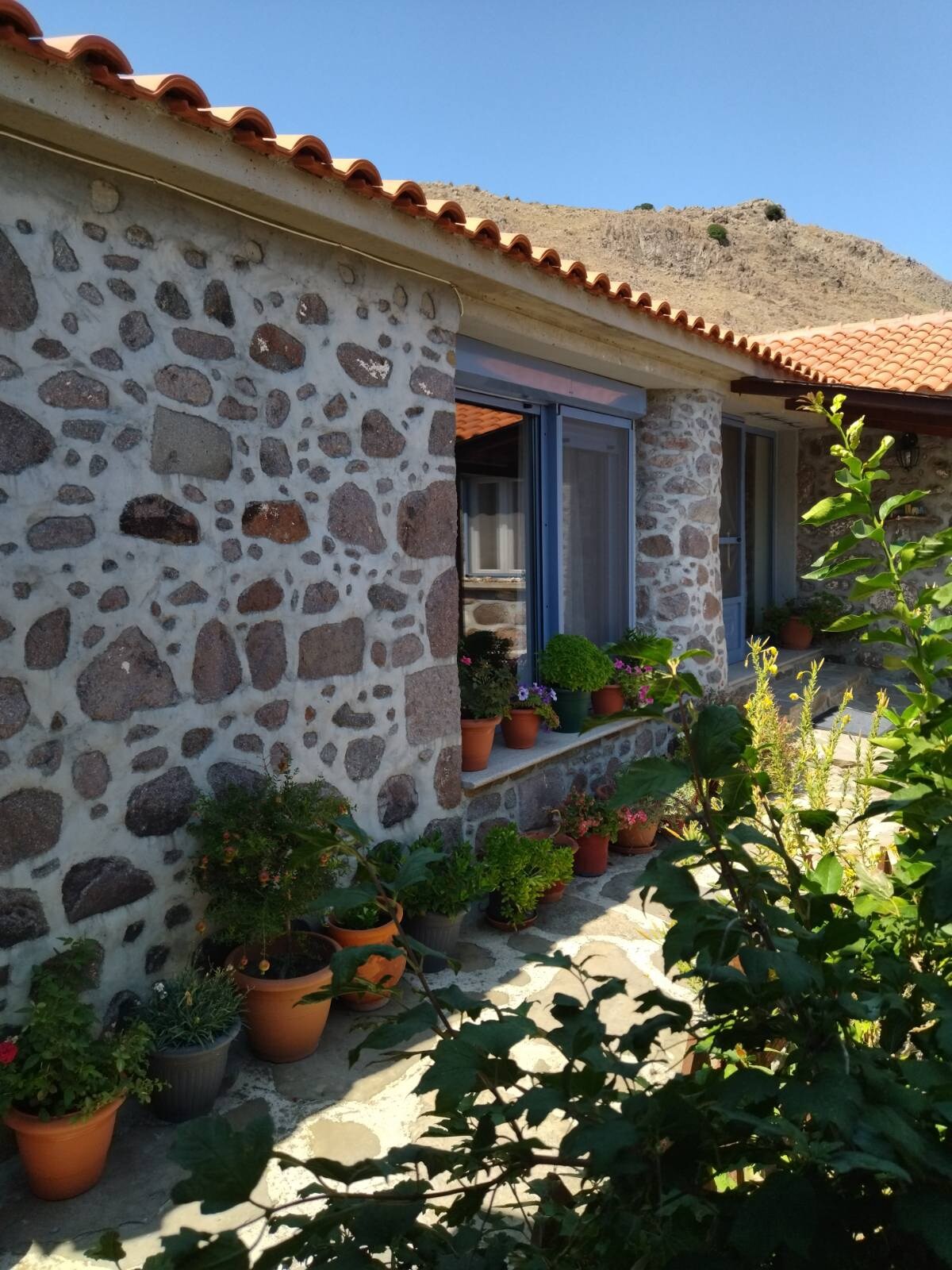 A stone exterior is showcased, featuring a variety of potted plants arranged along the pathway. Large windows invite natural light, and the mountain backdrop provides a serene natural setting. The roof tiles are a warm terracotta color, complementing the structure's rustic charm.